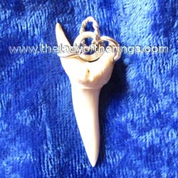 shark tooth 2 pendant
